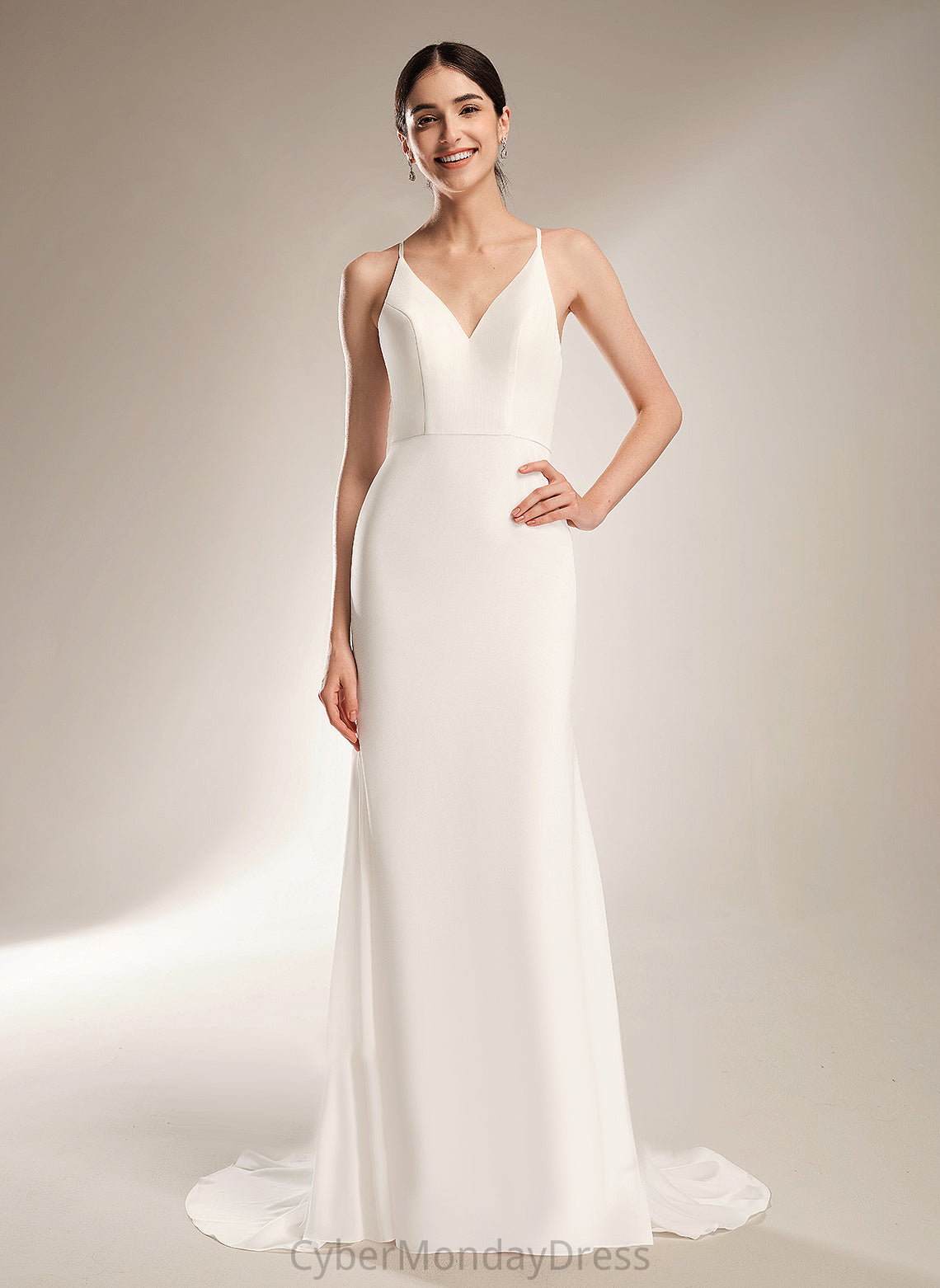 Wedding Train Sheath/Column Court Wedding Dresses With Chiffon Lace Dress Aleena V-neck