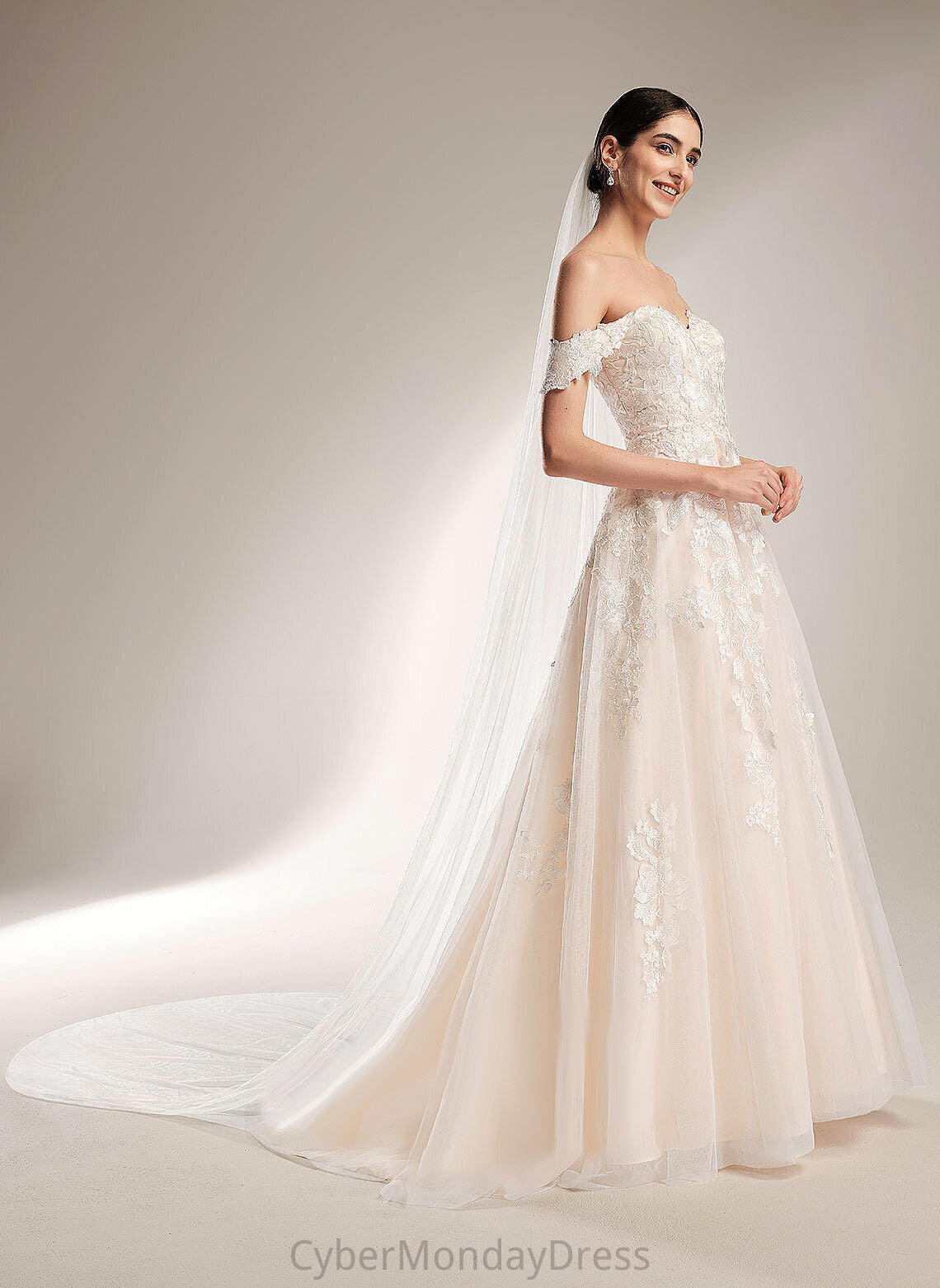 Lace Chapel Ball-Gown/Princess Off-the-Shoulder Wedding Wedding Dresses Ainsley Train Dress Tulle